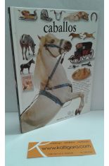 CABALLOS