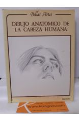 DIBUJO ANATÓMICO DE LA CABEZA HUMANA