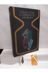 LA REBELIÓN DE LOS BRUJOS