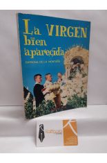 LA VIRGEN BIEN APARECIDA. PATRONA DE LA MONTAA