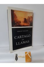 CARTAGO EN LLAMAS