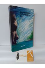 LAS AVENTURAS DE HUCKLEBERRY FINN