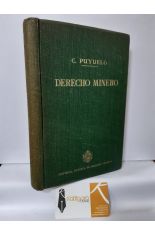 DERECHO MINERO. DERECHO, LEGISLACIN, JURISPRUDENCIA